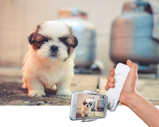 Hitec Handy Gimbal Smartphone Stabilizer X-CAM