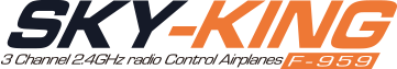 3CH 2.4GHz エアープレーン SKY-KING [スカイキング]