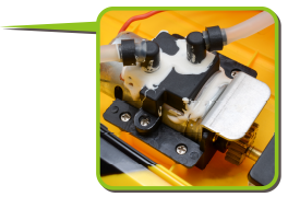 TIGER-SHARK [タイガーシャーク]サイド 側面 横 特徴